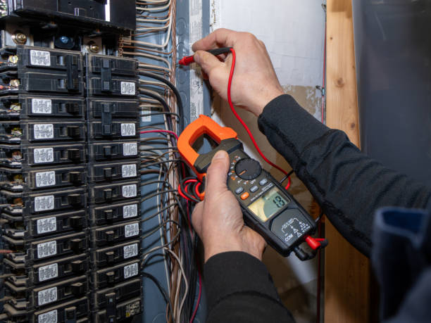 Best Local Electrician Companies  in Palmer, TX