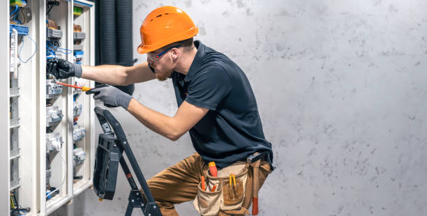 Best Electric Panel Repair  in Palmer, TX